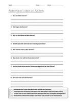 Vorschau - Arbeitsblätter - AB mit Fragen zum Thema "Azoren" + Lösungsblatt - Deckblatt