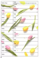 Vorschau - Arbeitsblätter - Wohlfühlnachricht Frühling - Schreibe etwas Nettes! - Seite 3