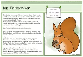 Vorschau - Anderer Materialtyp - Unsere Wild- und Waldtiere: Infokarten - Seite 1