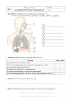 Vorschau - Test - Lernerfolgskontrolle Atmung Gasaustausch (differenziert) 8. Klasse - Deckblatt