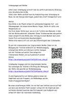 Vorschau - Arbeitsblätter - Schwingungen und Wellen Texte Grafiken Aufgaben Lösung - Seite 2