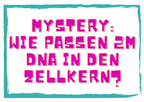 Vorschau - Präsentationen/Tafelbilder - Mystery DNA-Verpackung - Seite 1
