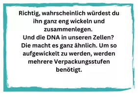 Vorschau - Präsentationen/Tafelbilder - Mystery DNA-Verpackung - Seite 3