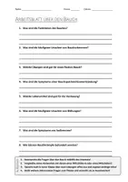Vorschau - Arbeitsblätter - AB mit Fragen zum Thema "Bauch" + Lösungsblatt - Deckblatt