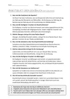 Vorschau - Arbeitsblätter - AB mit Fragen zum Thema "Bauch" + Lösungsblatt - Seite 1