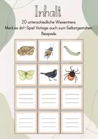 Vorschau - Spiele - Merk es dir! Spiel: Die Tiere der Wiese/ Wiesentiere - Seite 2