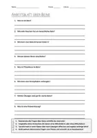Vorschau - Arbeitsblätter - Lernposter + AB mit Fragen zum Thema "Bein" + Lösungsblatt - Seite 1
