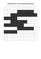 Vorschau - Spiele - Materialpaket Suchsel Herz-Kreislauf-System (differenziert) - Seite 2
