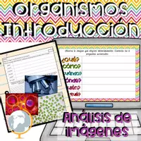 Vista previa - Hojas de trabajo - Organismos unicelulares y pluricelulares introducción análisis de imágenes - Portada