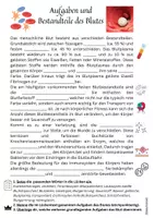 Vorschau - Arbeitsblätter - Aufgaben & Bestandteile des Blutes - Lückentext differenziert (Jg. 8-10) - Seite 2