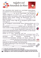Vorschau - Arbeitsblätter - Aufgaben & Bestandteile des Blutes - Lückentext differenziert (Jg. 8-10) - Seite 3