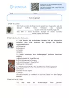 Vorschau - Arbeitsblätter - Konkavspiegel - Physik 7. - 10. Klasse - Seite 2