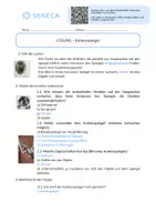 Vorschau - Arbeitsblätter - Konkavspiegel - Physik 7. - 10. Klasse - Seite 3