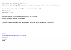 Vorschau - Arbeitsblätter - DaZ7 DaF Grammatik Sprechübung Modalverb wollen - Seite 1