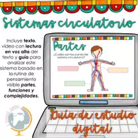 Vista previa - Hojas de trabajo - El sistema circulatorio guía para analizar sus partes, funciones y complejidad - Portada