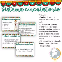 Vista previa - Tarjetas / Manipulativos - El sistema circulatorio preguntas de comprensión - Portada