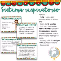 Vista previa - Tarjetas / Manipulativos - El sistema respiratorio preguntas de comprensión - Portada