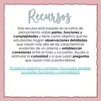 Vista previa - Hojas de trabajo - El sistema digestivo excretor guía analizar sus partes, funciones y complejidad - página 2