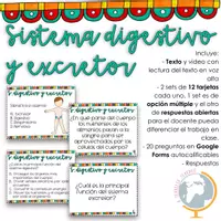Vista previa - Tarjetas / Manipulativos - Los aparatos digestivo y excretor preguntas de comprensión - Portada