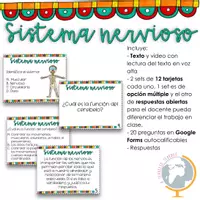 Vista previa - Tarjetas / Manipulativos - El sistema nervioso preguntas de comprensión - Portada