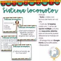 Vista previa - Tarjetas / Manipulativos - Los s óseo y muscular preguntas de comprensión - Portada