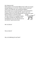 Vorschau - Arbeitsblätter - Leseverstehen Textverständnis 2 Aufgaben Lösung - Seite 3