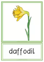 Vorschau - Anderer Materialtyp - EASTER Tafelbildkarten - Seite 3