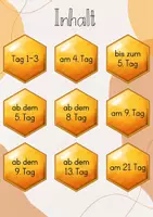 Vorschau - Stundenentwürfe - Tafelbild: Vom Ei zur Biene - Die Entwicklung einer Biene/ Lebenszyklus der Biene - Seite 3