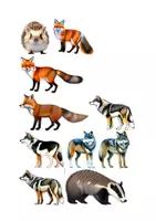 Vorschau - selbst erstellte Cliparts/Grafiken - 100 Cliparts: Wald - Seite 3