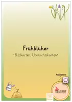 Vorschau - Poster - Frühblüher (Bildkarten und Übersicht Speicherorgane) - Deckblatt