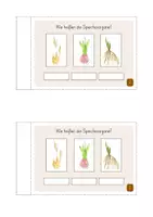 Vorschau - Arbeitsblätter - Frühblüher Forscherheft - Seite 3