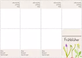 Vorschau - Mal- und Bastelvorlagen - Frühblüher Hosentaschenbuch - Seite 3