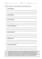 Vorschau - Arbeitsblätter - AB mit Fragen zum Thema "Biologie" + Lösungsblatt + Infografik - Deckblatt