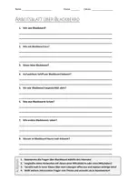 Vorschau - Arbeitsblätter - AB mit Fragen zum Thema "Blackbeard" + Lösungsblatt - Deckblatt