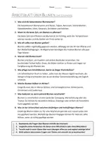 Vorschau - Arbeitsblätter - AB mit Fragen zum Thema "Blumen" + Lösungsblatt + Infografik - Seite 2