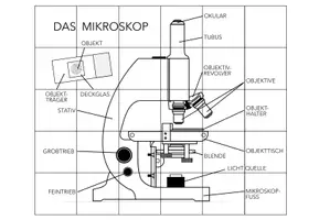 Vorschau - Spiele - Mikroskop – Puzzle - Seite 3