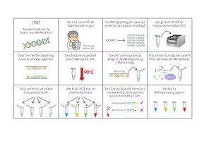 Vorschau - Spiele - DNA Sequenzierung (Sanger-Methode) - Sortieraktivität (Abitur) - Seite 2