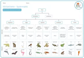 Vorschau - Arbeitsblätter - Wirbeltiere Systematik – Arbeitsblatt - Seite 3