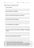 Vorschau - Arbeitsblätter - Lernplakat + AB mit Fragen zum Thema "Blüte" + Lösungsblatt + Infografik - Seite 1