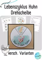 Vorschau - Mal- und Bastelvorlagen - Drehscheibe: Lebenszyklus Huhn - Seite 1