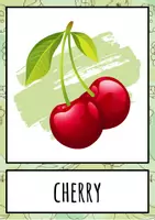 Vorschau - Bildkarten - Flashcards Fruits Englisch - Seite 2