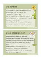 Vorschau - Stationenlernen - Abschreibkartei: Ostern (schwer) - Seite 3