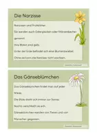 Vorschau - Stationenlernen - Abschreibkartei: Ostern (einfach) - Seite 3