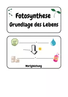 Vorschau - Merkblätter - Mini-Flipbook: Fotosynthese - Grundlage des Lebens - Seite 1