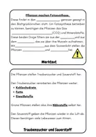 Vorschau - Merkblätter - Mini-Flipbook: Fotosynthese - Grundlage des Lebens - Seite 3