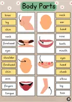 Aperçu - Feuilles d'exercices - Body Parts Clip Cards | Vocabulary - Page 3