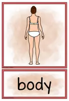 Vorschau - Bildkarten - Body Parts - Picture & Word Cards - Seite 2