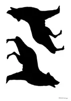 Vorschau - Arbeitsblätter - Hell-Dunkel-Kontrast (Wolf bei Vollmond) - Seite 3