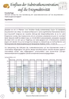 Vorschau - Stundenentwürfe - Materialpaket: Unterrichtsentwurf + Material zum Einfluss der Substratkonzentration auf die Enzymaktivität (Substratsättigung, Katalase, H2O2) - Seite 2