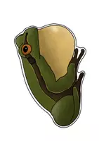 Vorschau - Unterrichtsreihen - Der Frosch - Riesenpaket (Metamorphose, Besonderheiten, Nahrung und Feinde) - Seite 3